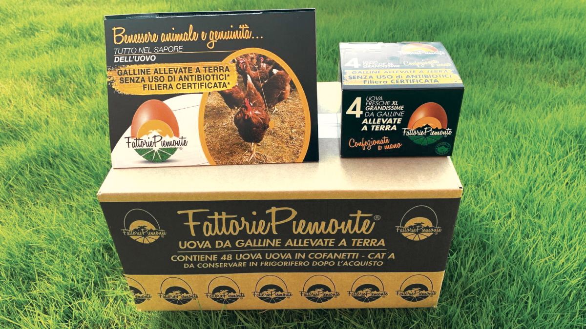 Fattorie Piemonte | Nuove confezioni 2