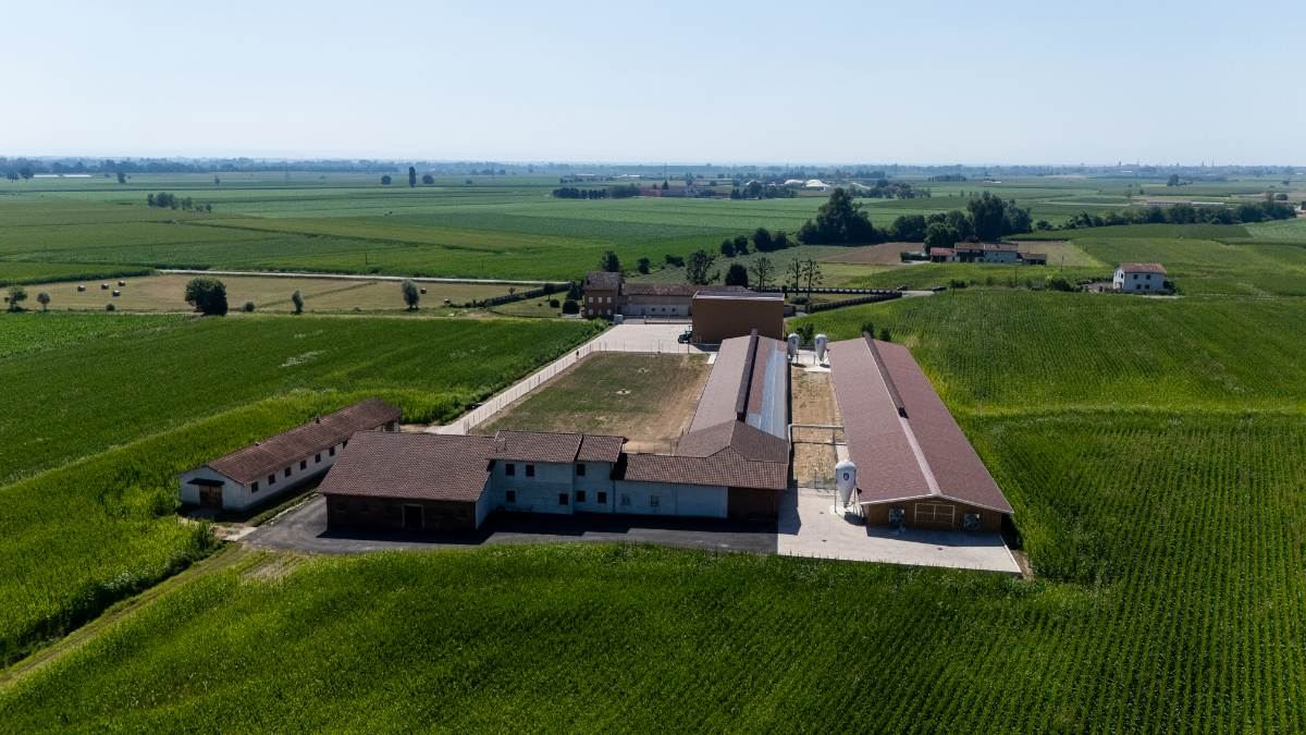 Fattorie Piemonte mangimificio 6