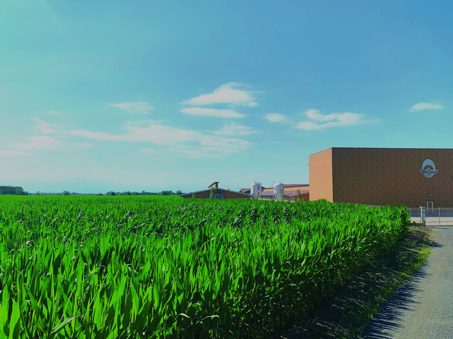 Mangificio fattorie piemonte 