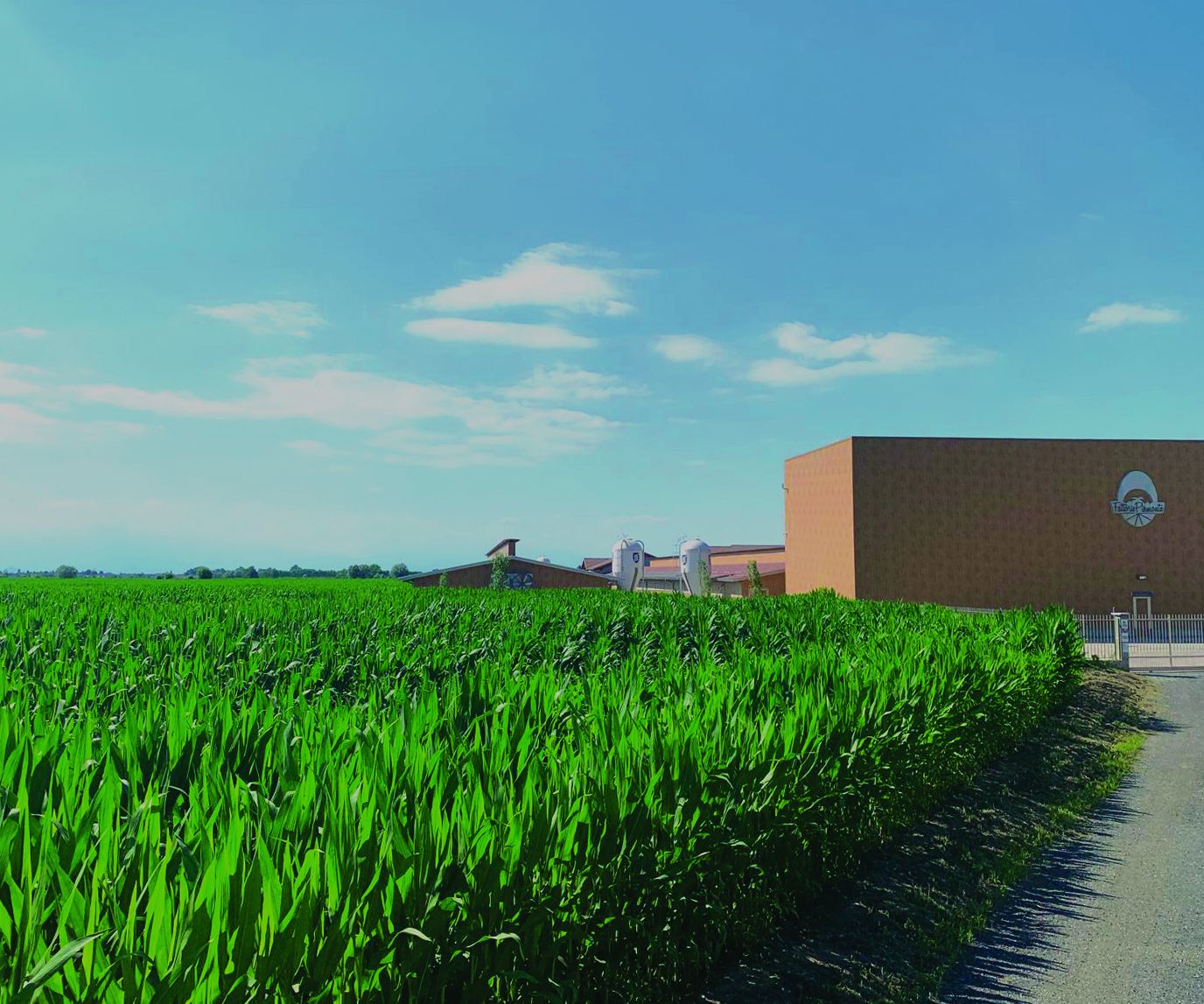 Mangificio fattorie piemonte 