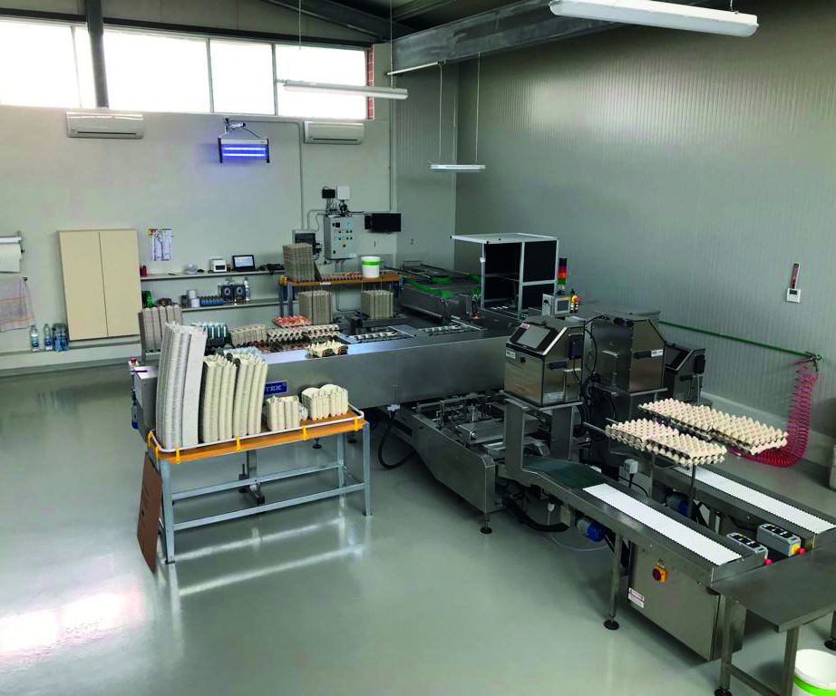 La storia di un uovo Fattorie Piemonte 