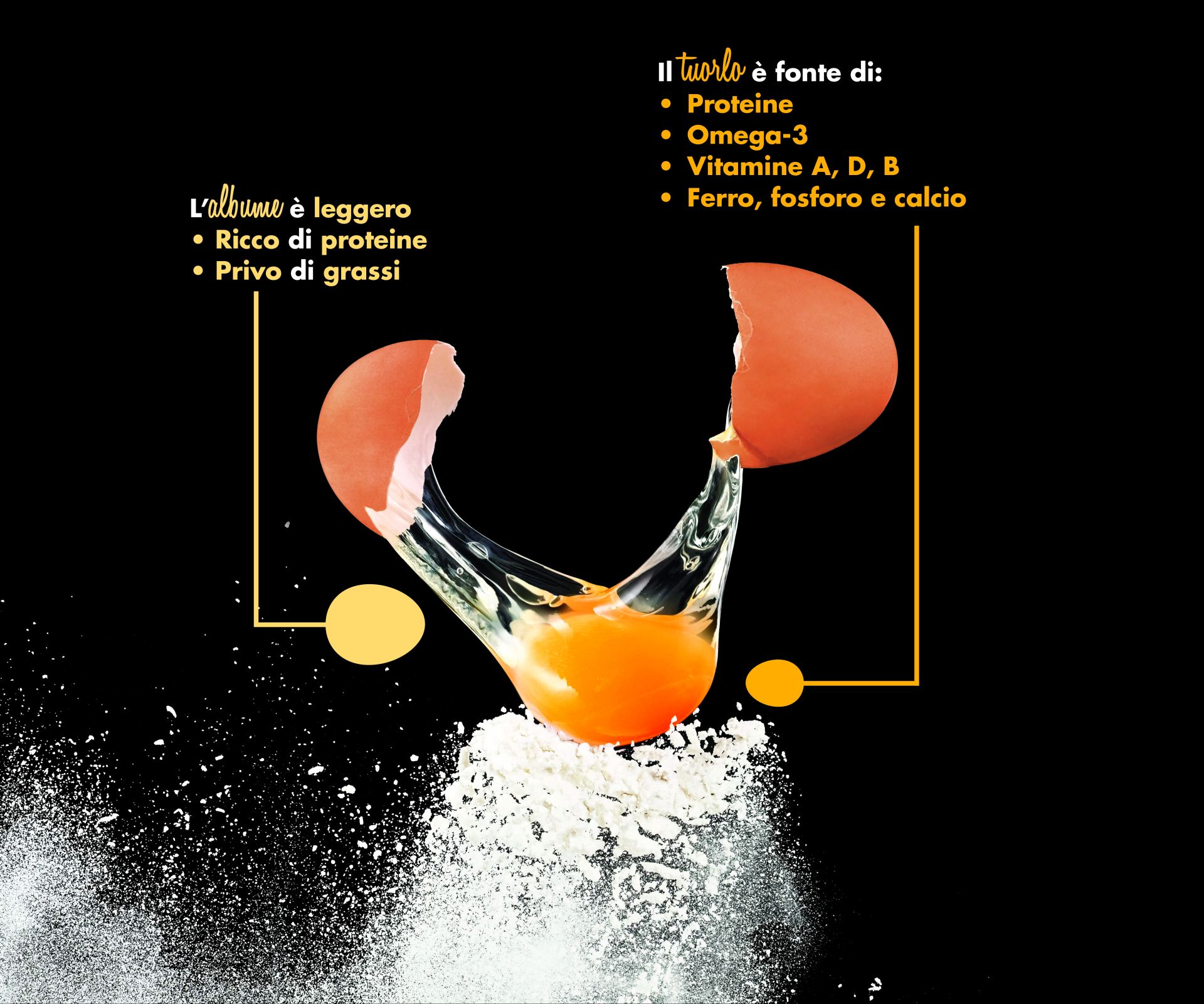 PERCHÉ SCEGLIERE LE UOVA DI FATTORIE PIEMONTE?