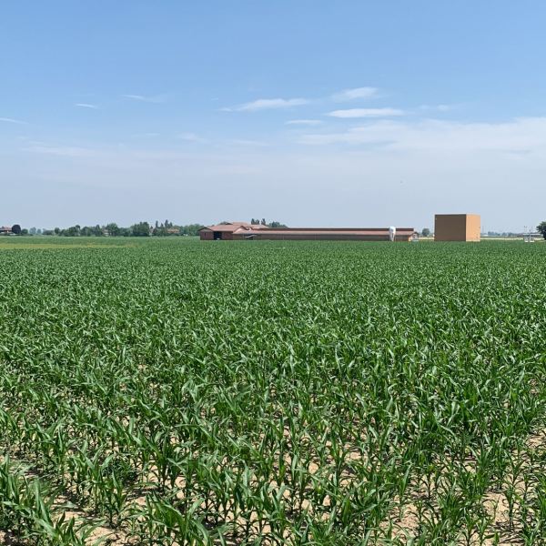 Fattorie Piemonte Coltivazioni