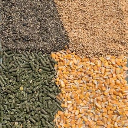 Fattorie Piemonte Mangimi